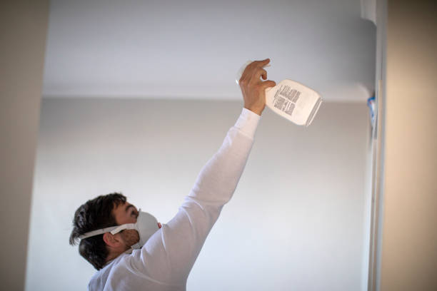 Best Mold Testing  in King George, VA