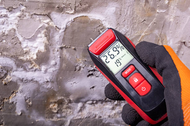 Best Crawl Space Mold Removal  in King George, VA