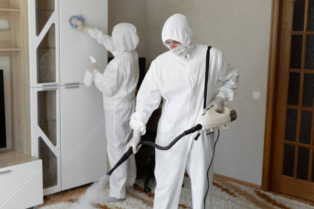 Attic Mold Removal in King George, VA
