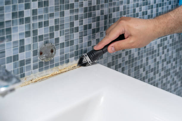 Best Toxic Mold Removal  in King George, VA